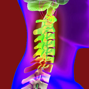 Facet Joint Nerve Pain